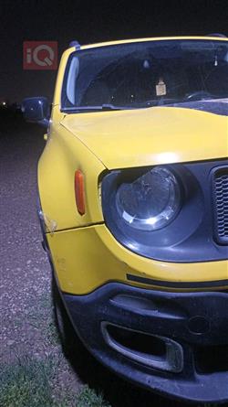 جيب رينيجيد